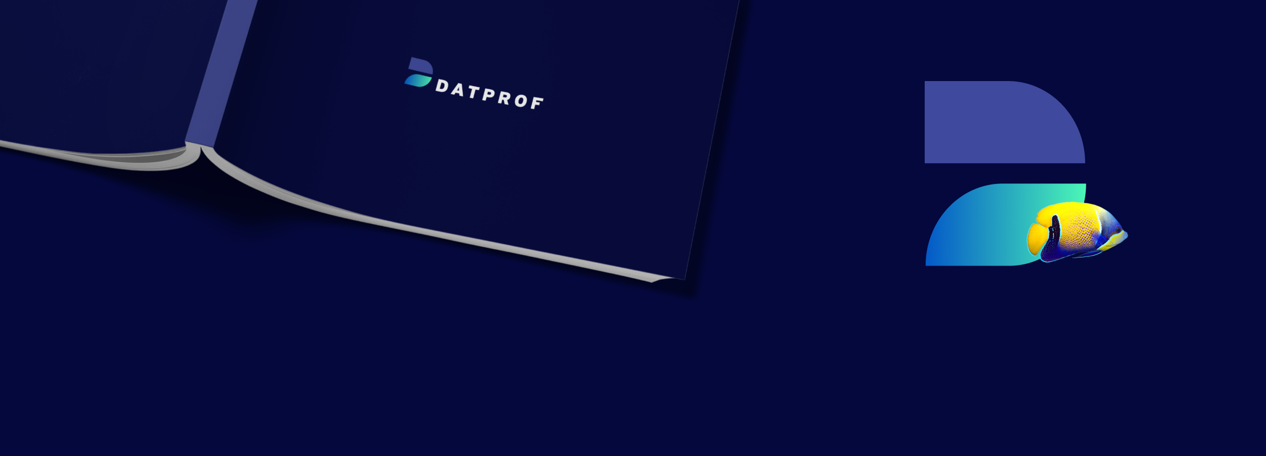 Huisstijl en webdesign voor Datprof